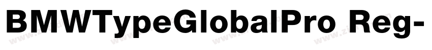BMWTypeGlobalPro Reg字体转换